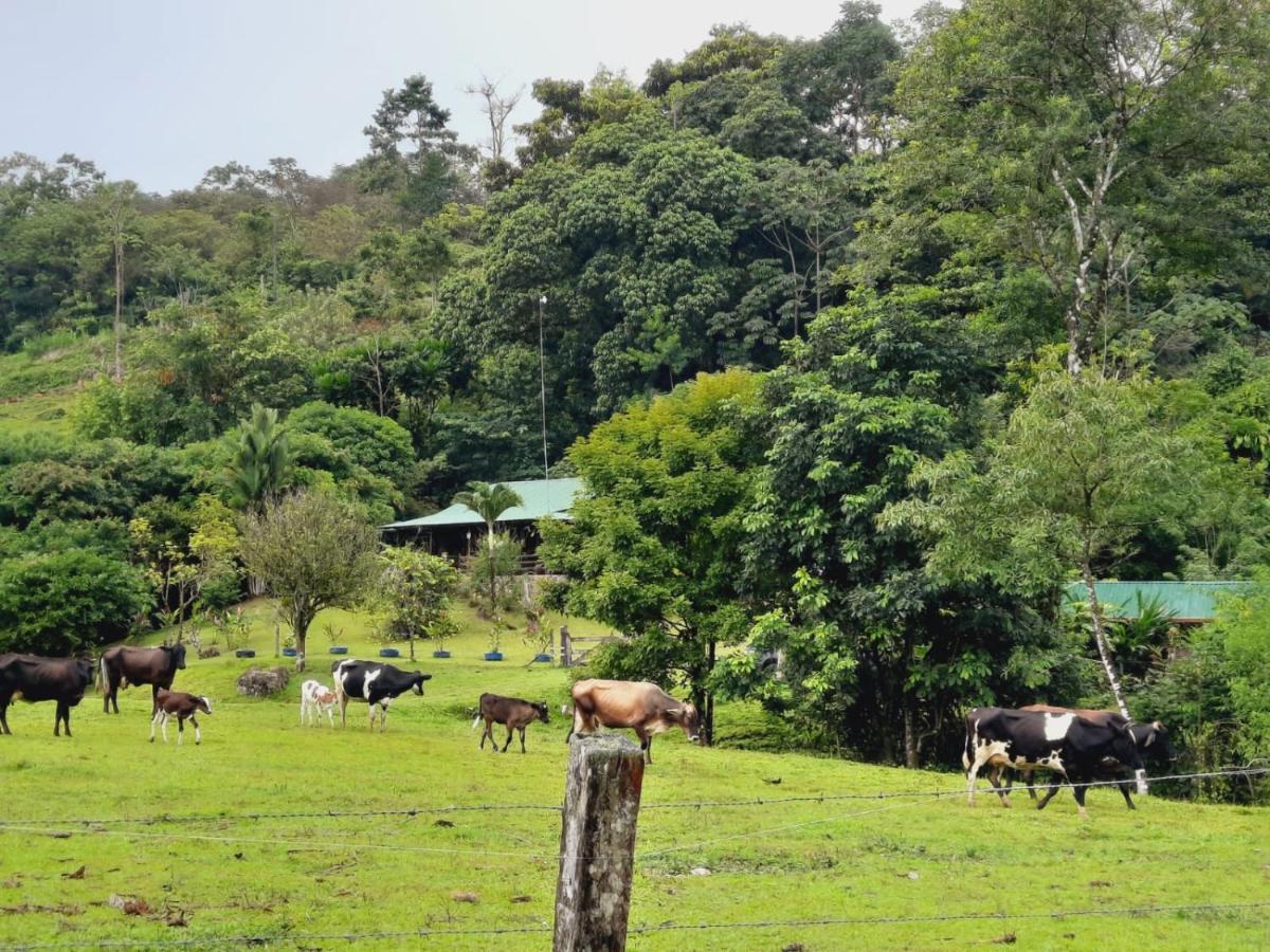 Cabanas Montanas Del Tenorio Rio Celeste Экстерьер фото